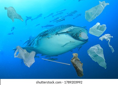 1,384 Whale Plastic Waste Images, Stock Photos & Vectors | Shutterstock