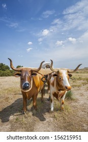 Plastic Oxen Pulling Covered Wagon At Scott's Bluff National Monument, Nebraska