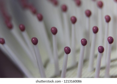 Plastic Paddle Hairbrush