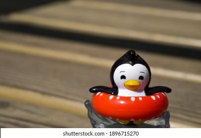 Plastic Penguin Toy With Red Rubber Ring For Swimming On Piece Of Ice.