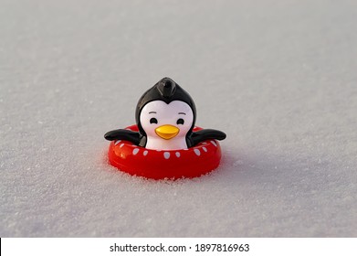 Plastic Penguin Toy With Red Rubber Ring Swimming In Snow.