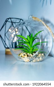 Plastic Plant Similar To Aloe Vera Inside A Glass Pot And With A Rope To Hang It. Behind It Is A Lit Led Bulb, Surrounded By Metal In The Shape Of A Lozenge, With A White Background.