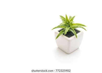 Plastic Plant In Vase Isolated On White Background