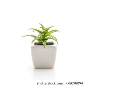 Plastic Plant In Vase Isolated On White Background