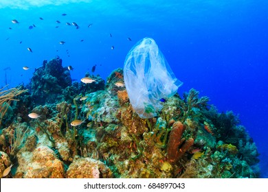 Plastic Pollution:- A Discarded Plastic Rubbish Bags Floats On A Tropical Coral Reef Presenting A Hazard To Marine Life