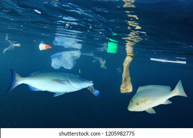 Plastic Pollution And Fish In Ocean