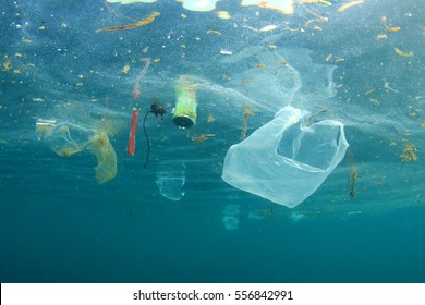 Plastic pollution in ocean - Shutterstock ID 556842991