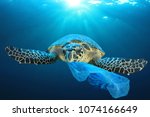 Plastic pollution in ocean environmental problem. Turtles can eat plastic bags mistaking them for jellyfish
