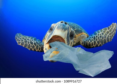 Plastic pollution in ocean environmental problem. Turtles can eat plastic bags mistaking them for jellyfish  
