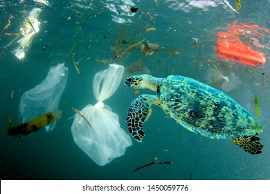 Plastic pollution in ocean environmental problem. Turtles can eat plastic bags mistaking them for jellyfish - Shutterstock ID 1450059776