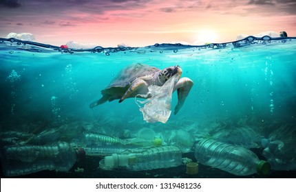 Plastic Pollution In Ocean - Turtle Eat Plastic Bag - Environmental Problem
 - Shutterstock ID 1319481236
