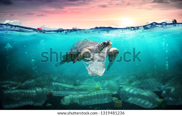 Plastic Pollution In Ocean - Turtle Eat Plastic\
Bag - Environmental\
Problem\
