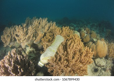 Plastic Pollution Problem Ocean Underwater Bottles Stock Photo (Edit ...