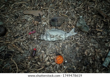 plastic polution casues fish death 