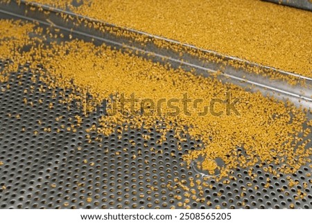 Plastic Resin Polymer Pellets - Witte - Compounding