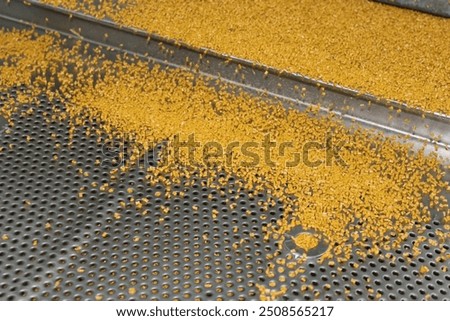 Plastic Resin Polymer Pellets - Witte - Compounding
