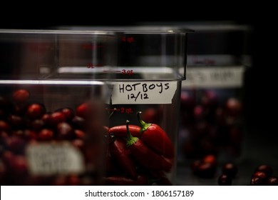 Plastic Restaurant Storage Bins Isolated