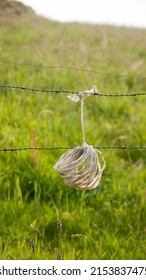 Plastic Rope Hanging To Barb Wire In Green Field