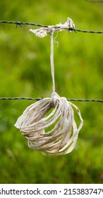 Plastic Rope Hanging To Barb Wire In Green Field