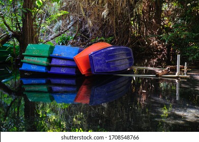 Plastic Rowing Boat In The Forest Watershed