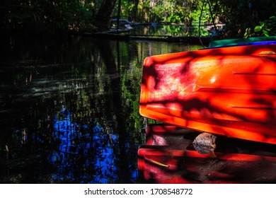 Plastic Rowing Boat In The Forest Watershed