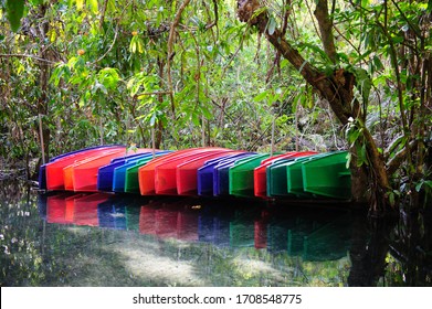 Plastic Rowing Boat In The Forest Watershed