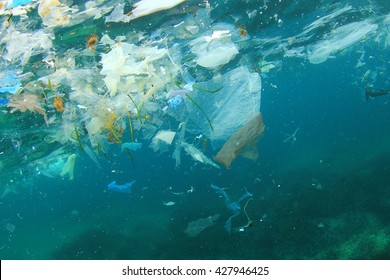 Plastic Rubbish Pollution In Ocean Environment