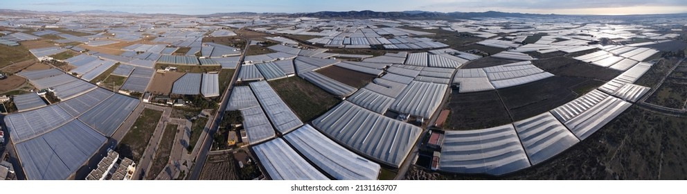 Almeria´s plastic sea of Greenhouses near of El Ejido. Campohermoso,Spain