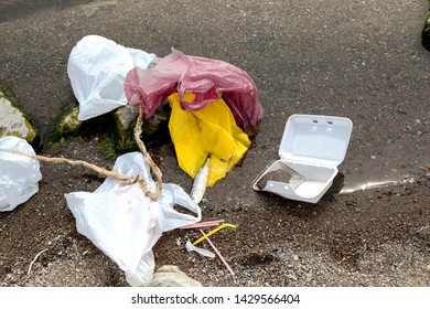 Plastic Single Use Shopping Bag Pollution With A Foam Plastic Clam Shell And A Dead Fish In The Water By The Sea