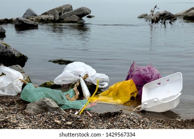 Plastic Single Use Shopping Bag Pollution With A Foam Plastic Clam Shell And A Dead Fish In The Water By The Sea Shore