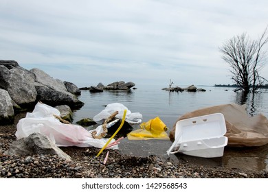 Plastic Single Use Shopping Bag Pollution With A Foam Plastic Clam Shell And A Dead Fish In The Water By The Sea