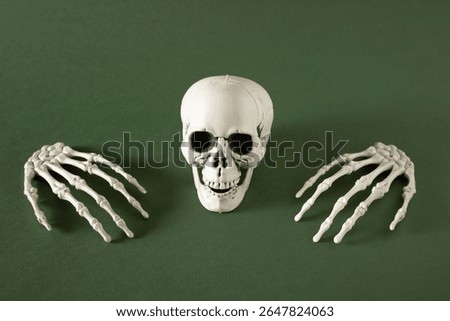 Plastic Skull and Skeleton Hands on Green Background – Hallowe