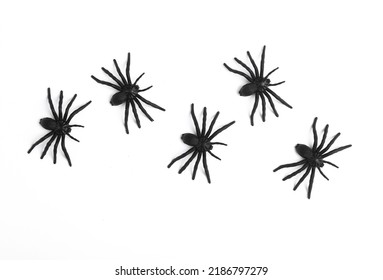 Plastic spiders on white background. Halloween decor. Top view - Powered by Shutterstock