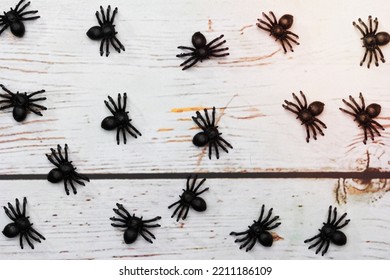 Plastic Spiders Toys On A Wooden Background