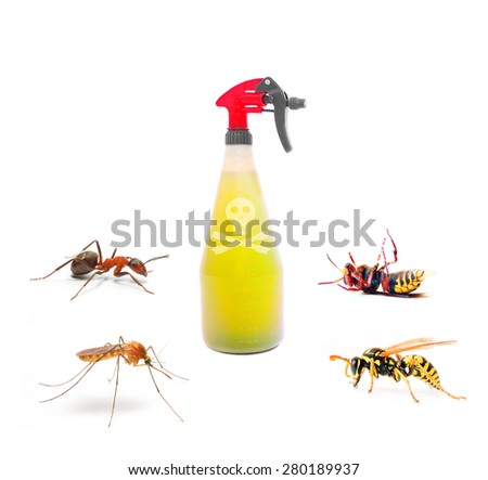 Plastic sprayer with insecticide and stinging insect, mosquito,wasp, hornet, ant.