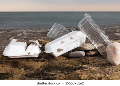 Plastic Take Out Food Foam Clam Shells Polluting A Sandy Beach