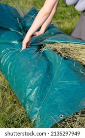 In The Plastic Tarp Lies Hay