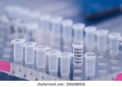 Plastic Test Tube With Protein G Coronavirus On A Rack Among Other Test Tubes.