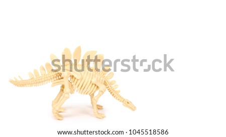 plastic toy animal dinosaur skeleton isolated stock photo edit now