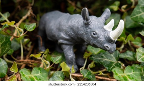 Plastic Toy of wild animals. Rhinoceros in nature.