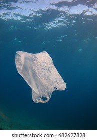 Plastic Trash Bag Floating In The Ocean