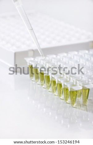 Plastic tubes for DNA amplification and loading pipette. Coronavirus testing in lab. Plastic tubes for DNA amplification. Pharmaceutical Virus research center. Covid 19, sars, coronavirus cure