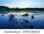 Plastic waste in lake. Ocean pollution, marine debris. Marine litter. Garbage plastic bottle in water of pond. Plastic marine debris. Marine plastic pollution. Microplastics groundwater poisoning.