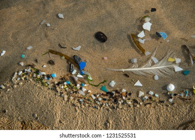 Plastic Waste; Sea; Micro Plastic