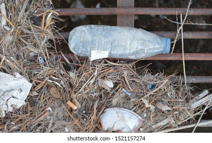 Plastic Water Bottle Without Cap , Cigarette Butt, Paper Trash And Nature Debris On Street Storm Drain 