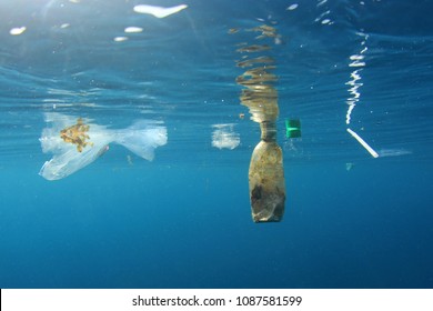 Plastic water bottles and bags environmental pollution