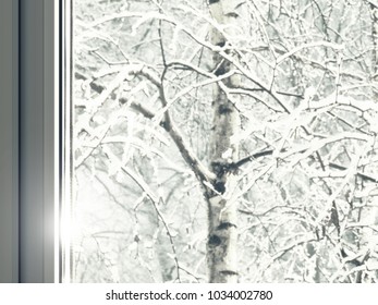 Plastic windows. Winter view outside the window, glare on the glass, trees under the snow, birches, blizzard