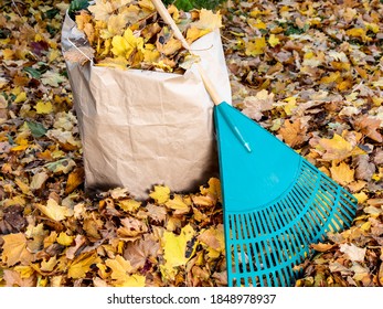 A Plastic Yard Rake Leaning Against A Paper Bag Full Of Leaves