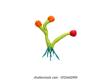 Plasticine Zygomycota Fungi Isolated On White Background With Clipping Path.