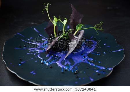 Plate with black risotto on black background with dramatic side light. Haute cuisine.